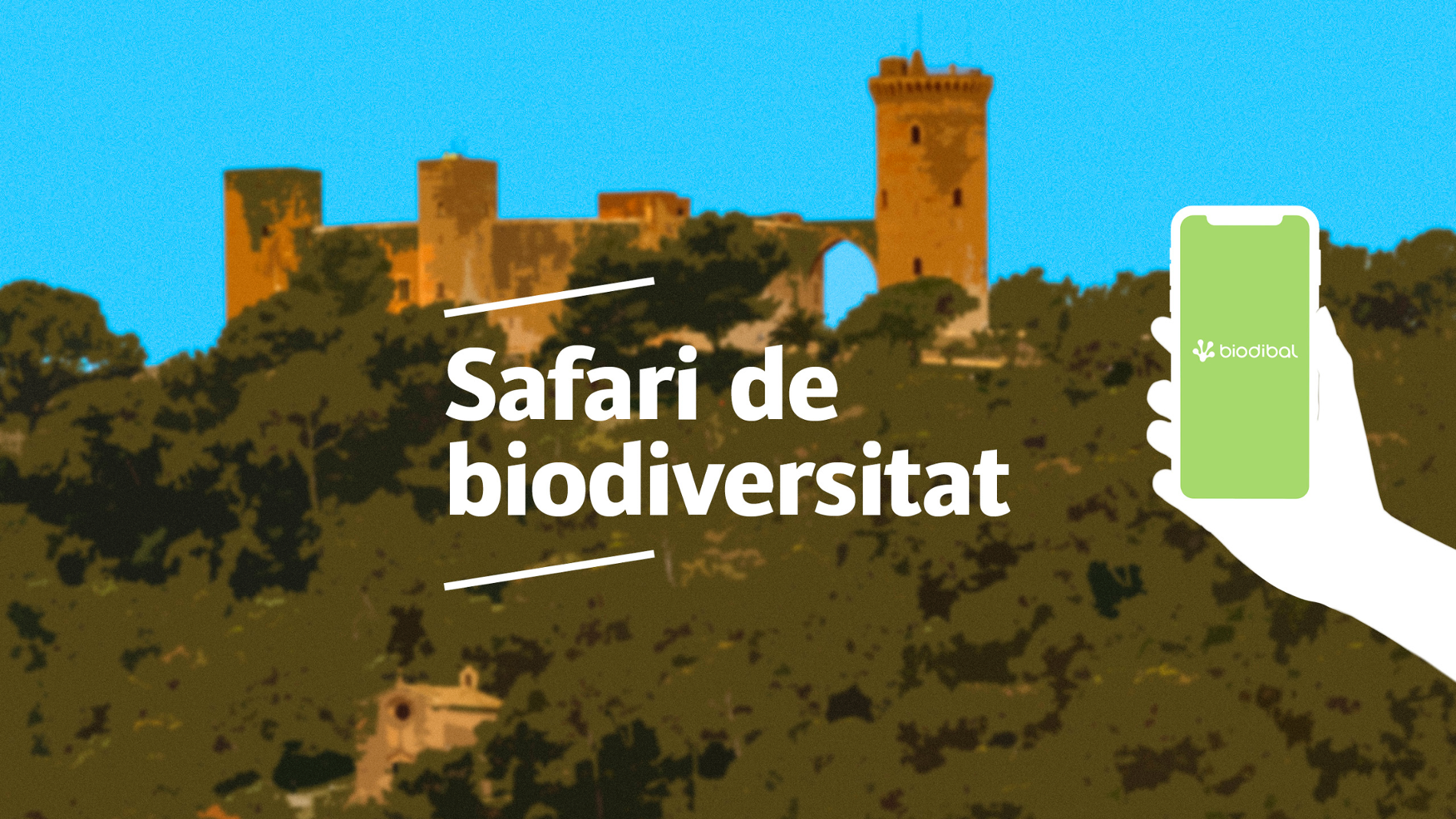 Safari de biodiversitat