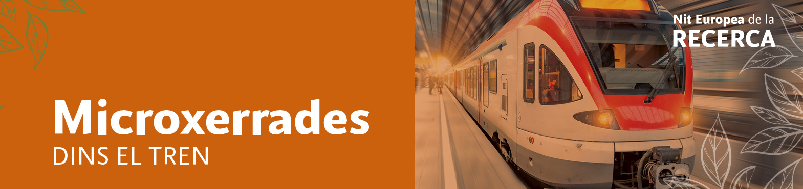 Microxerrades al tren